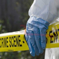 Potiskani nelepljivi trakovi 75mm x 250m Potiskani nelepljivi trakovi 75mm x 250m